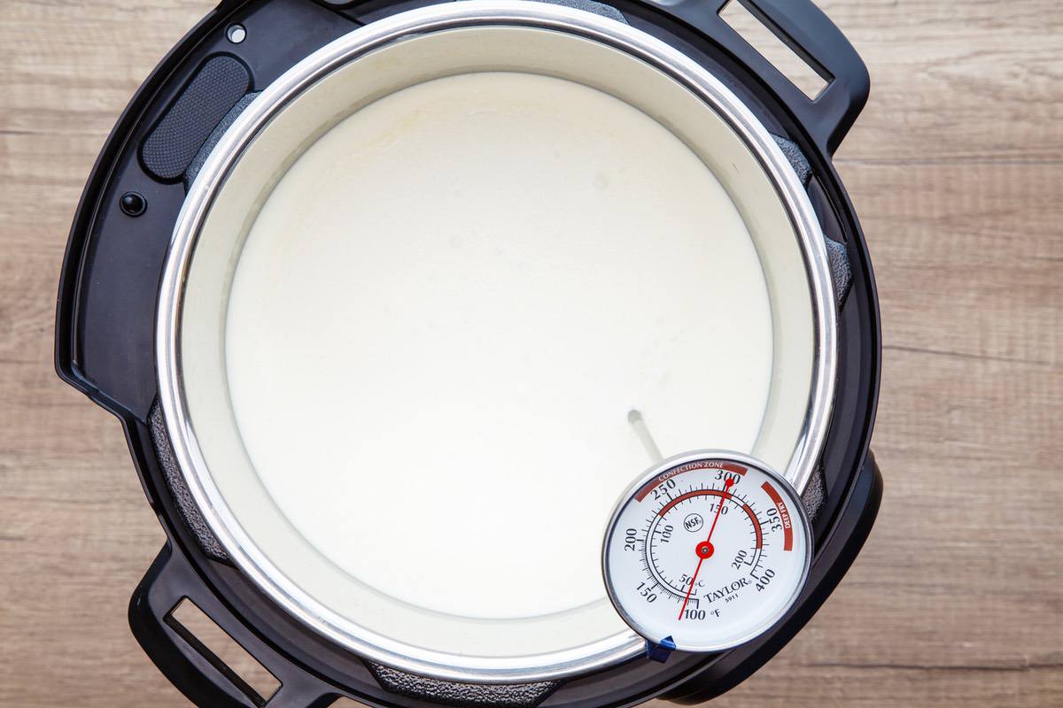 Instant Pot Keto Greek Yogurt