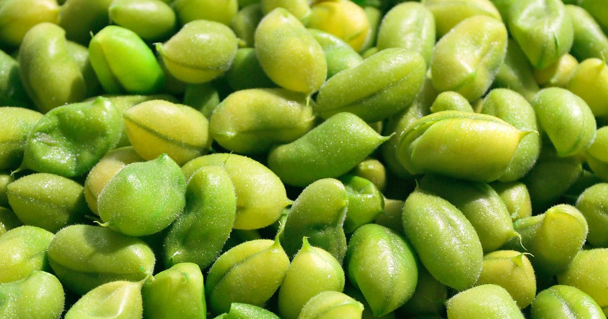 Is Edamame Keto?