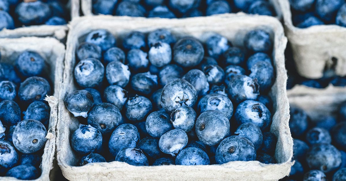 Are Blueberries Keto?